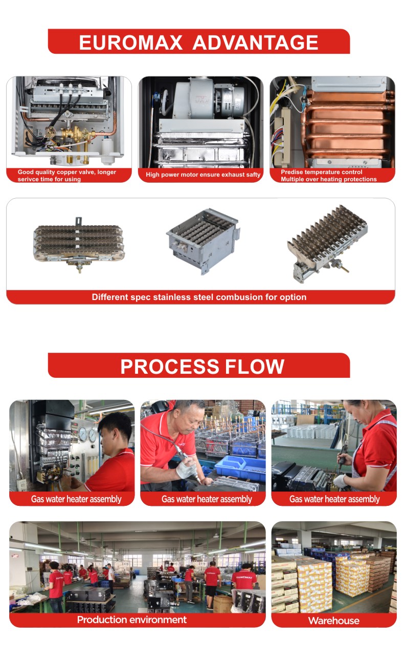 Technology Wholesale Price Whole House Tankless Gas Instant Hot Water Heater Copper Heat Exchanger Electric for Household Use detail