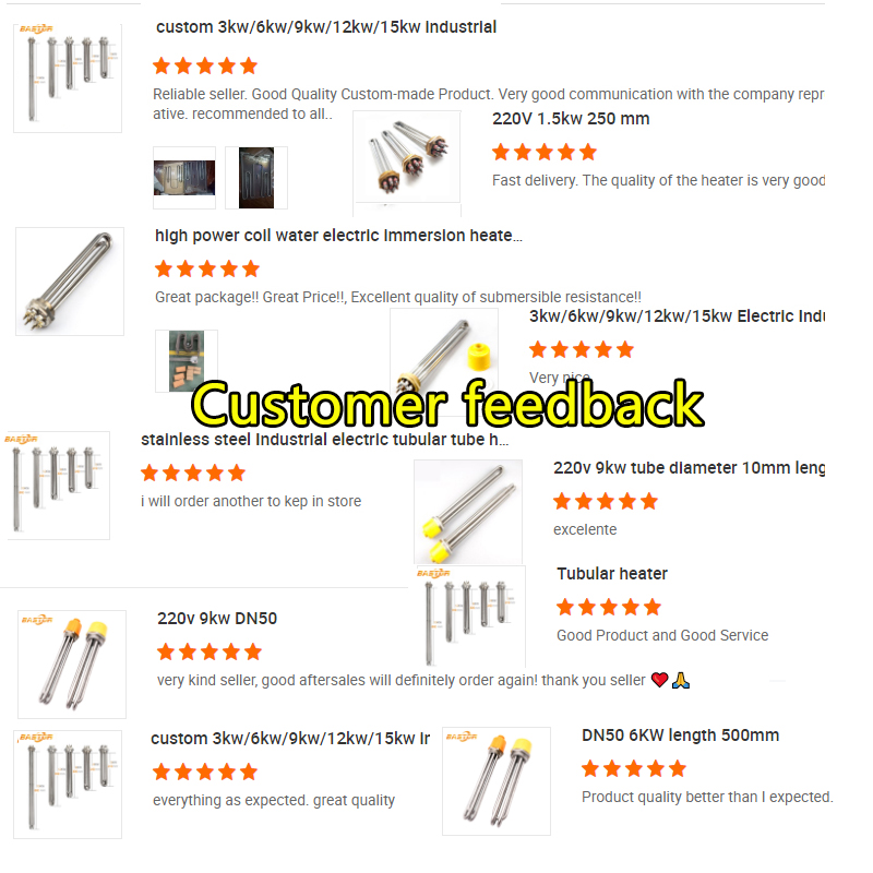 220v 3kw 6kw 9kw 12kw Stainless Steel Tubular Immersion Rod Electric Boiler Water Heater detail