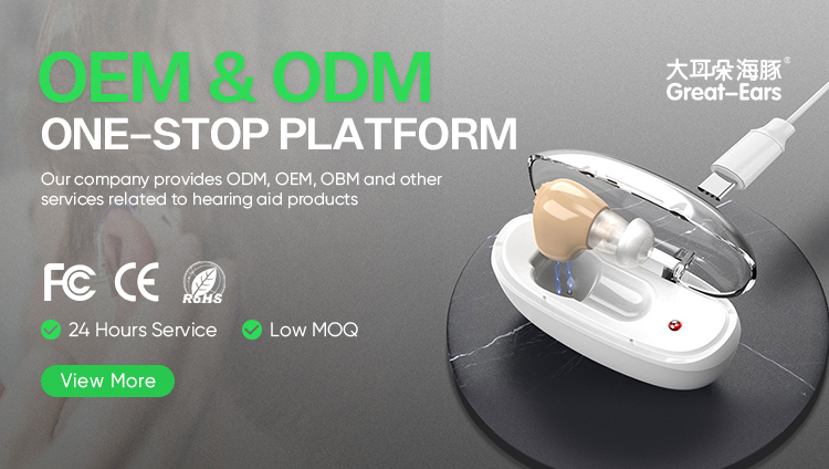 Great-Ears Easy to Wear Noise Cancelling Rechargeable Bte Rechargeable Hearing Aid Programmable Sound Amplifier detail