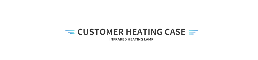 Jiangmen UVIR Customized IR Heater Lamp Manufacturer Infrared Heat Lamp for Auto Body detail