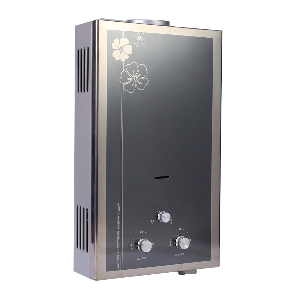 Factory OEM/ODM Gas Water Heater For Home 6/8/10L LPG/NG Gas Geyser Tankless Instant Water Heater For Home