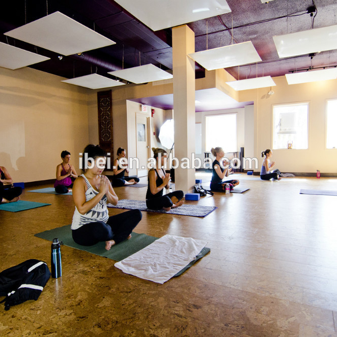 Ceiling/Wall Mounted Hot Yoga Pilates Studio Room Far Infrared Electric Panels Heater