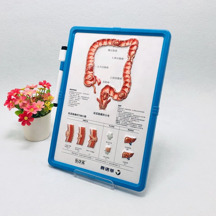 Square Plastic Pen Holder for Students Advertise Gifts detail