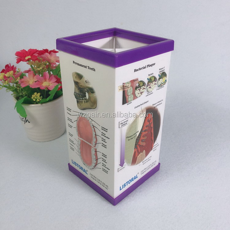 Customized 3D Plastic PVC Pen Holder 3D Embossed Pen Holder for Medical Promotional Gifts detail