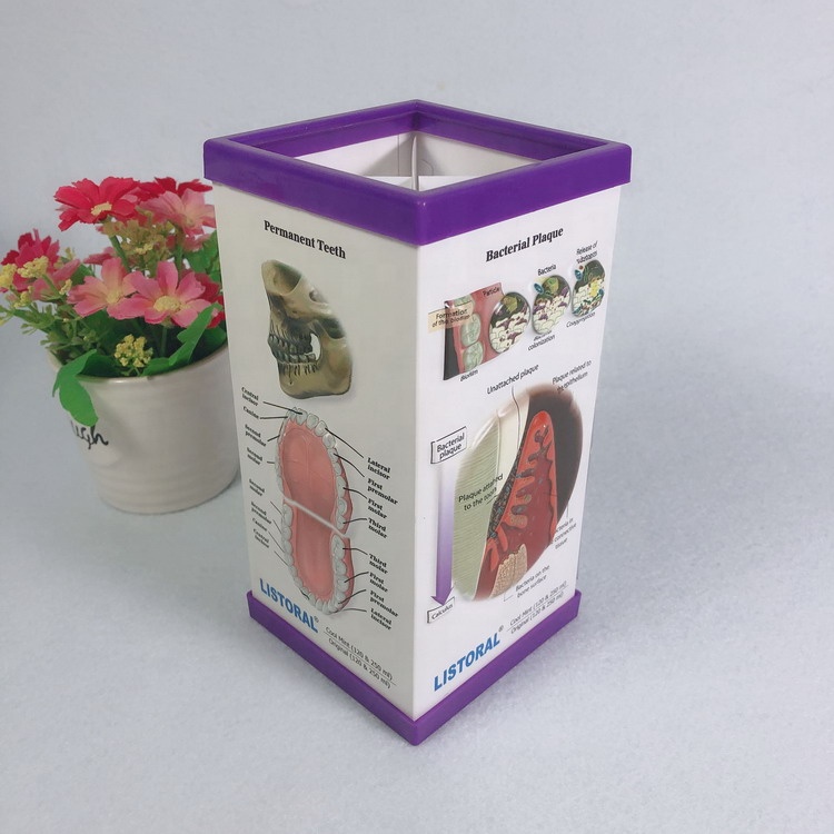 Customized 3D Plastic PVC Pen Holder 3D Embossed Pen Holder for Medical Promotional Gifts product view