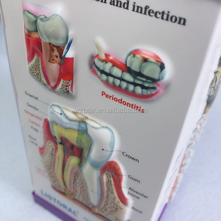 Customized 3D Plastic PVC Pen Holder 3D Embossed Pen Holder for Medical Promotional Gifts detail