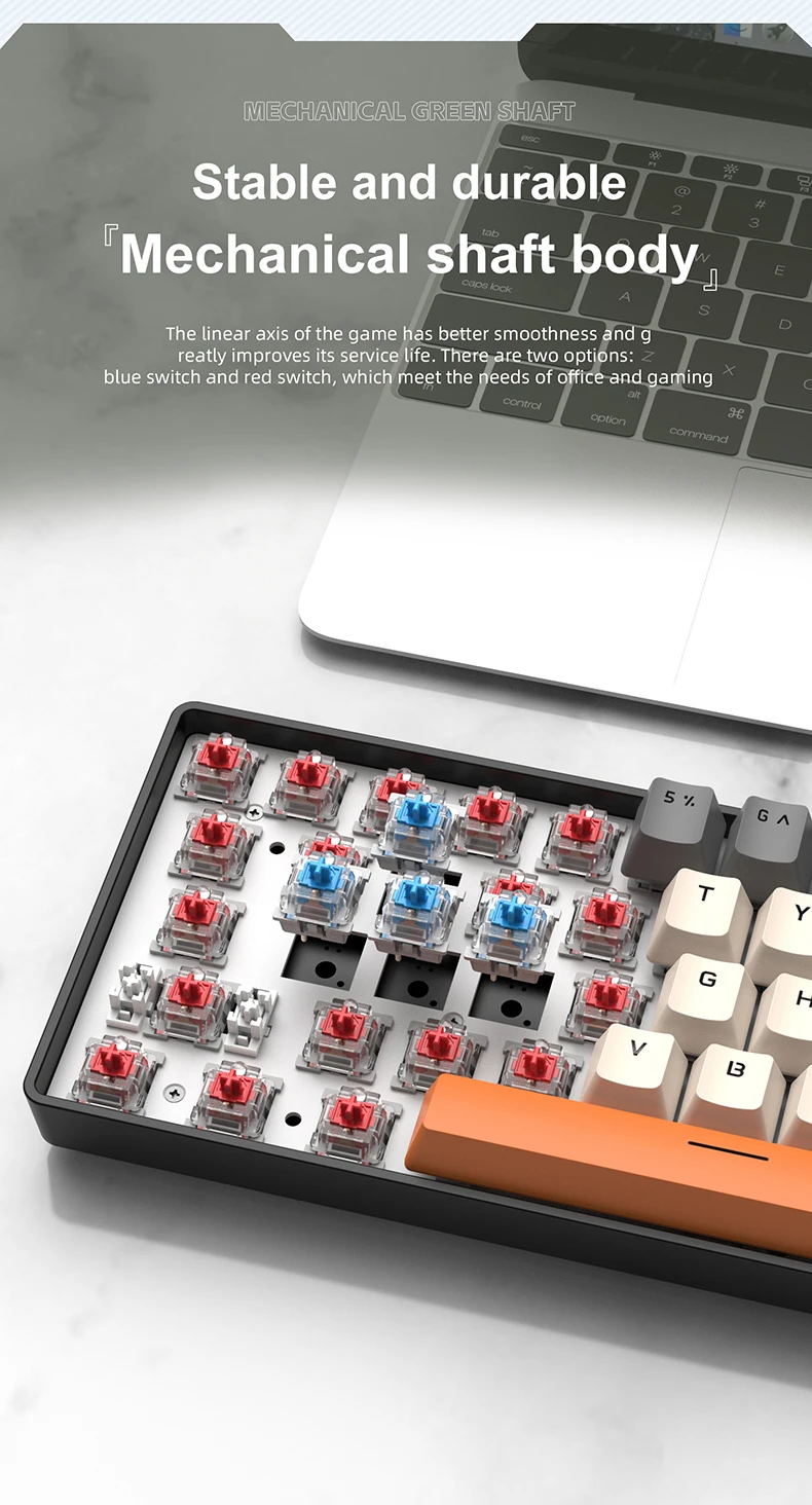 61 Key Wired Mechanical Keyboard Compact 60% Design APAYADO K61 RGB Backlight Anti Ghosting Type-C Port for Desktop Laptop detail