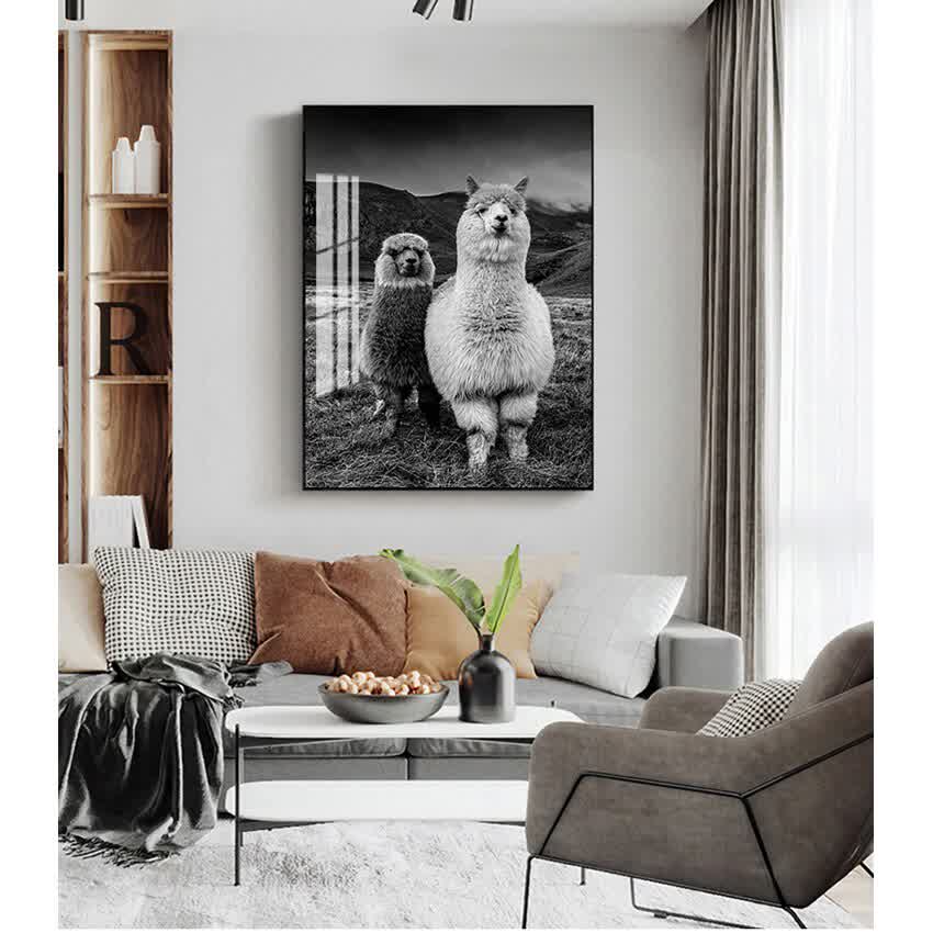 Picture Llama Black and White Wall Kids Room Decor...