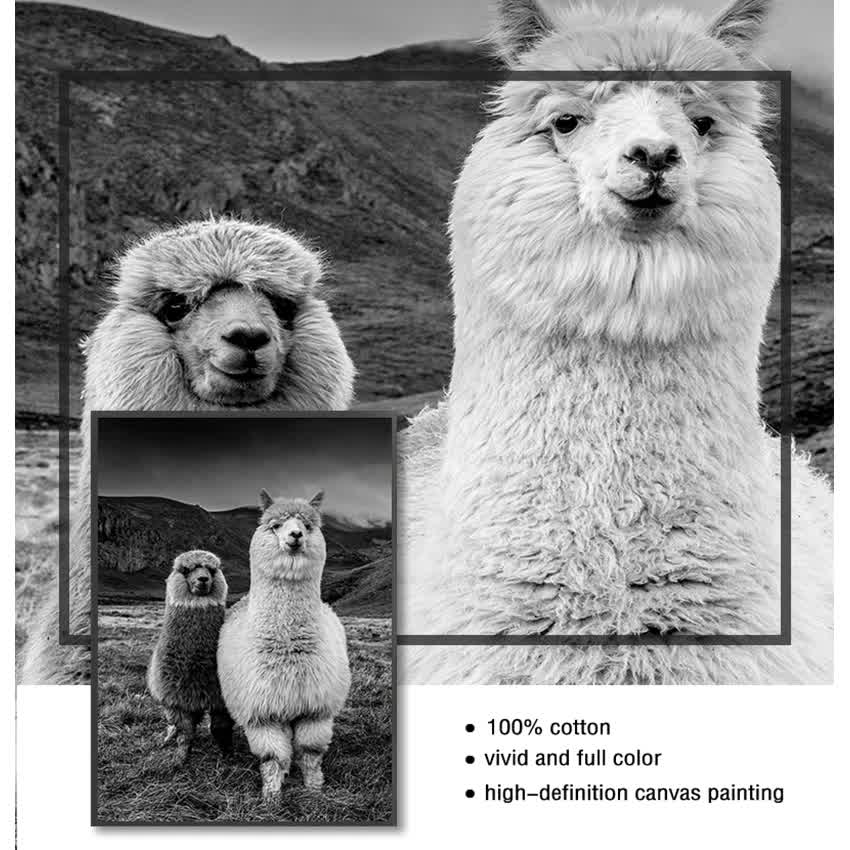 Picture Llama Black and White Wall Kids Room Decor Alpaca Poster Canvas Art Painting Animal Prints Wall Art Nursery Decorative