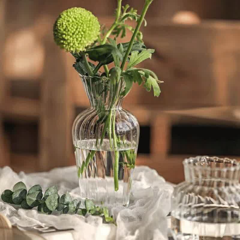 Transparent Flower Vase Borosilicate Glass Hydroponic Vase Tabletop Ornaments Flower Container Plants Holder Living Room Decor
