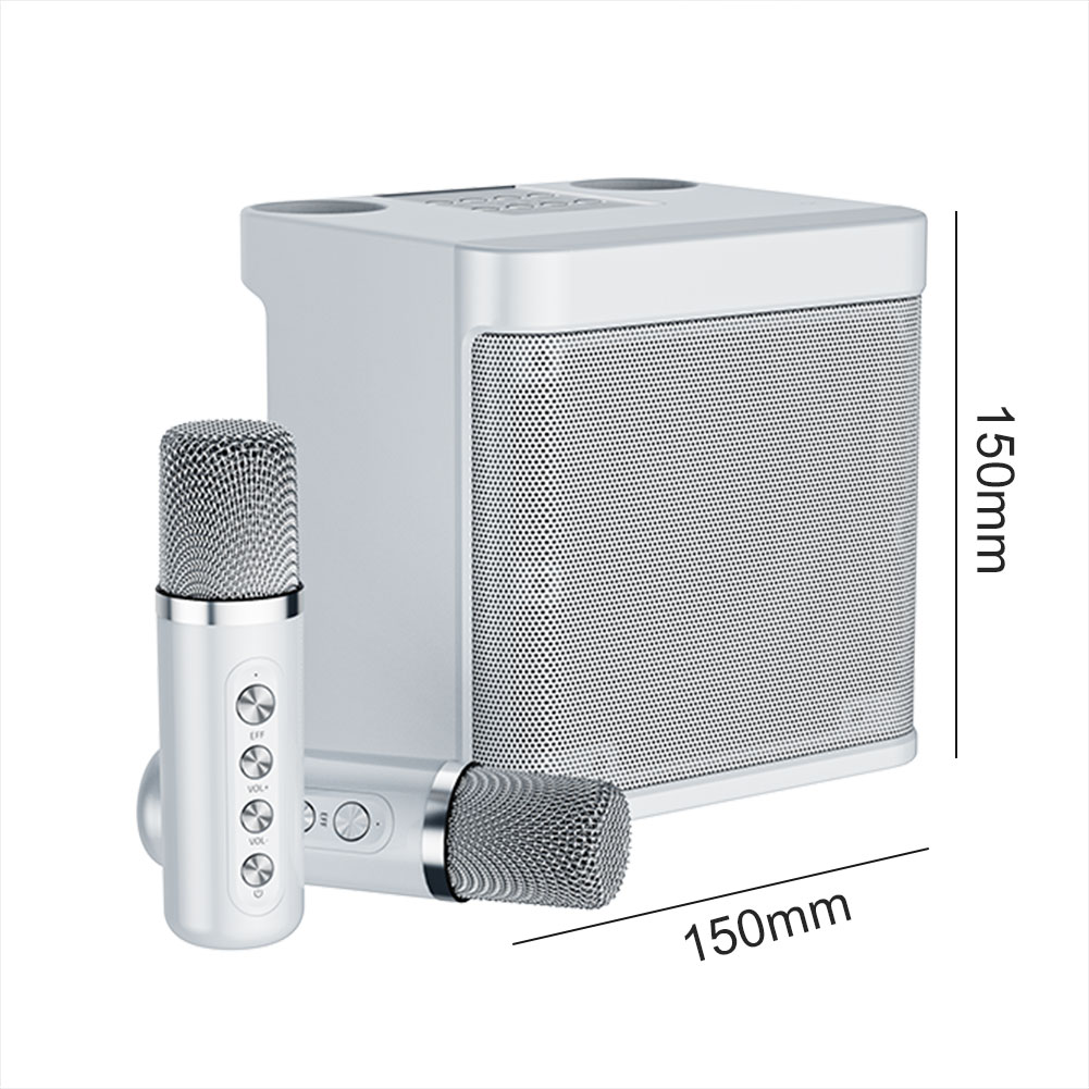 100W Portable Professional Karaoke Speaker Dual Microphone Bluetooth-compatible Speaker Built-in Sound Card