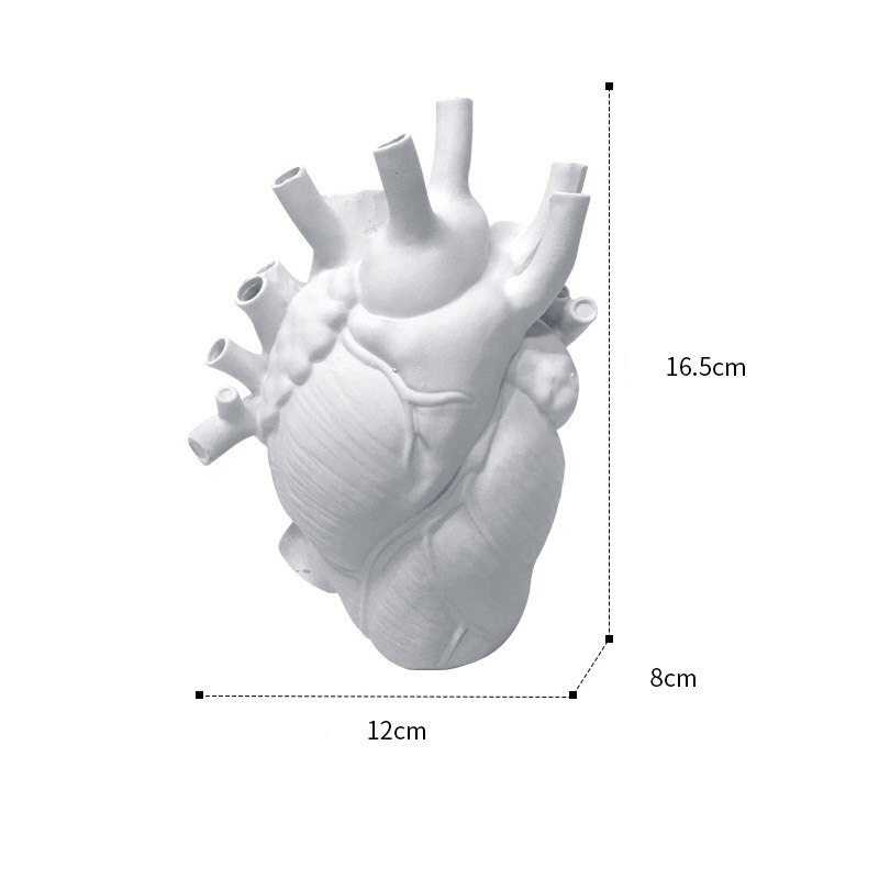 Heart Vase Anatomical Heart Shaped Flower Vase Decorative Ornament Craft for Farmhouse Living Room Bedroom Decoration