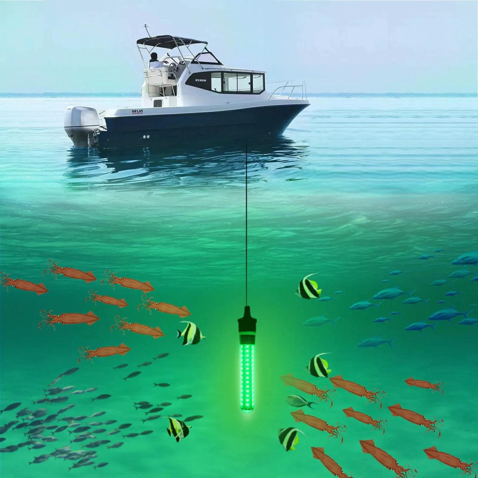 Underwater Night Fishing Light for Fish Finder, wi...