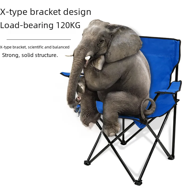 Outdoor Leisure Folding Chair with a Portable Back...