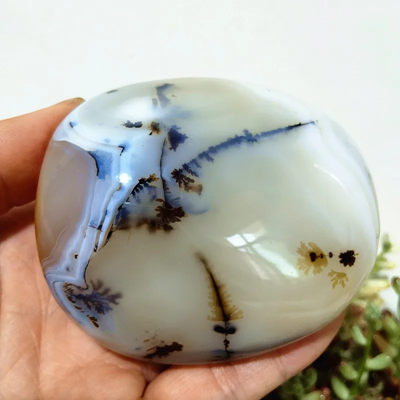 Water Plant Agate Palm Stone: Natural Stone for Meditation, Spiritual Yoga, and Home Feng Shui