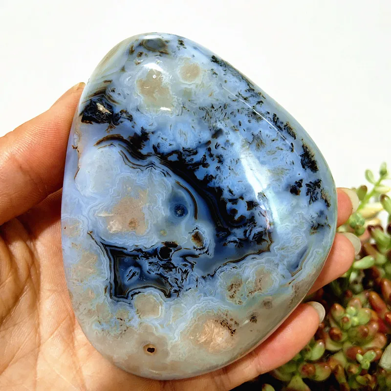 Water Plant Agate Palm Stone: Natural Stone for Meditation, Spiritual Yoga, and Home Feng Shui