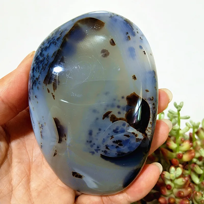 Water Plant Agate Palm Stone: Natural Stone for Me...