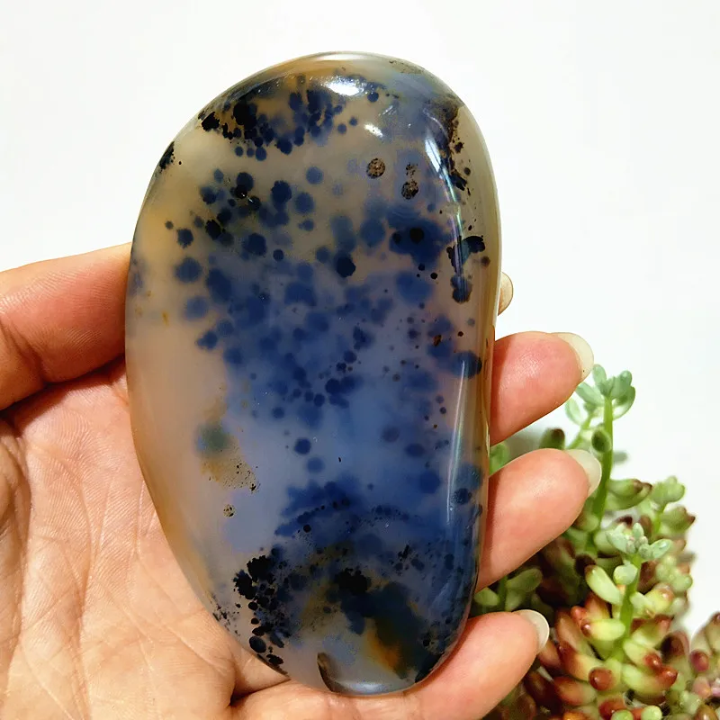 Water Plant Agate Palm Stone: Natural Stone for Meditation, Spiritual Yoga, and Home Feng Shui