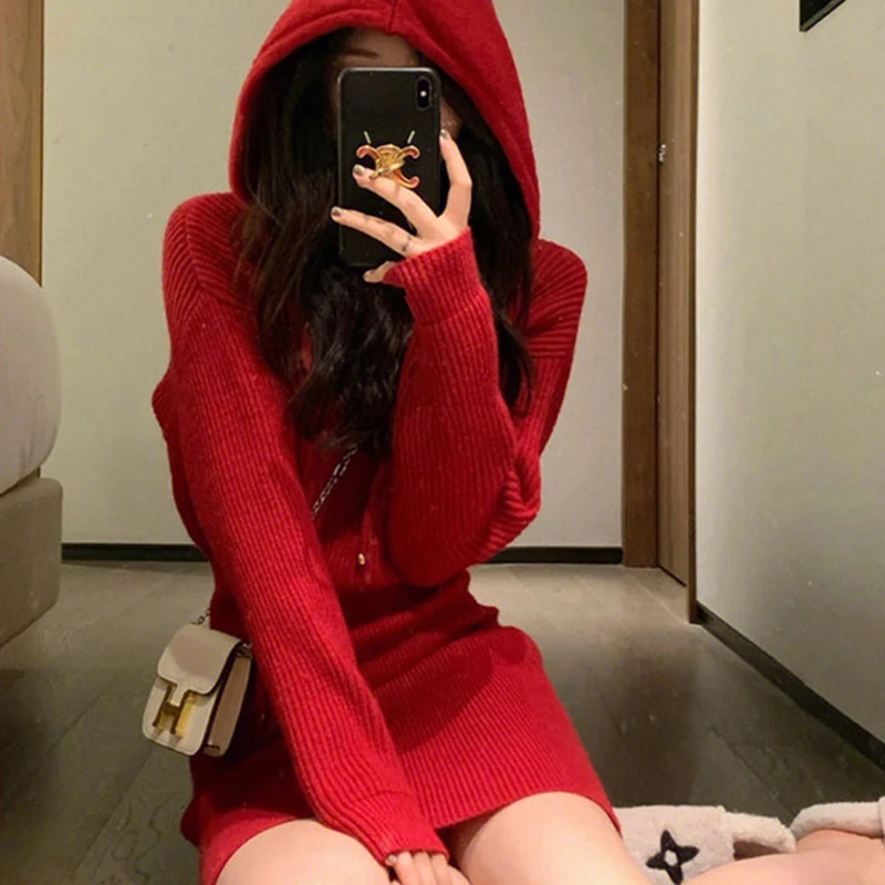 ShirtHooded Knitted Dress For Women Long Sleeve Casual Zipper Sheath Style Autumn Winter Version
