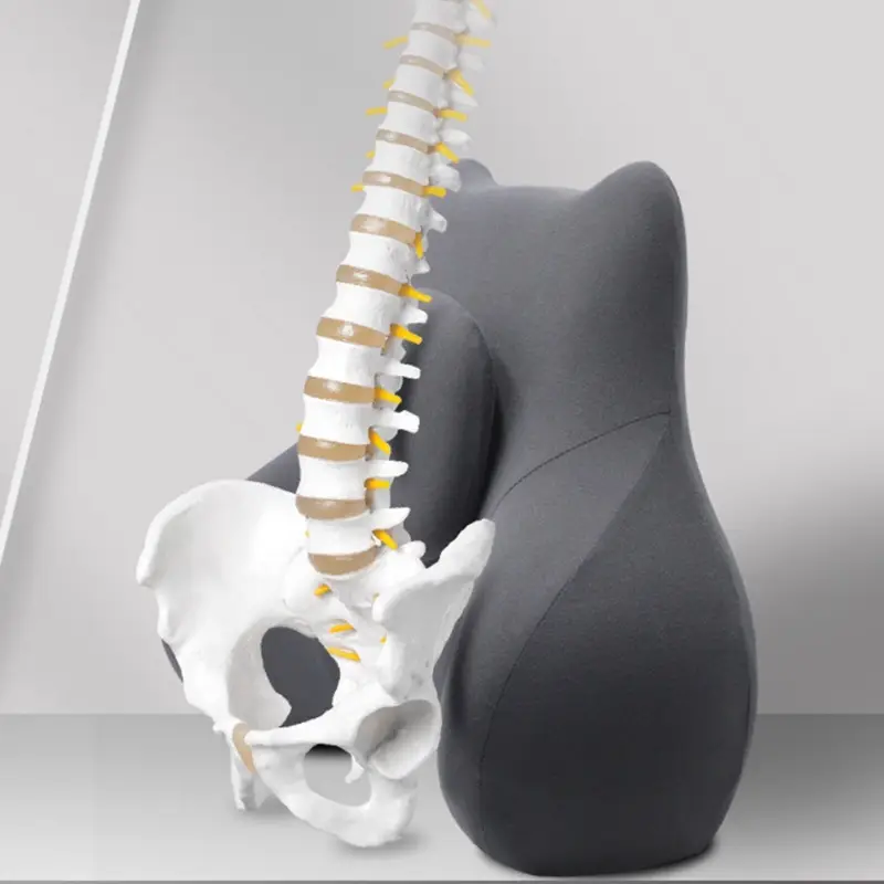 Memory Foam Lumbar Pillow Relieves Fatigue Office Lumbar Cushion Sedentary Waist Support Artifact Car Chair Backrest