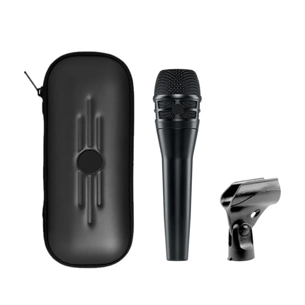 Professional Handheld Microphone Ultra High-End Dual Diaphragm Wired Microphone, High-Quality Stereo Studio Microphone