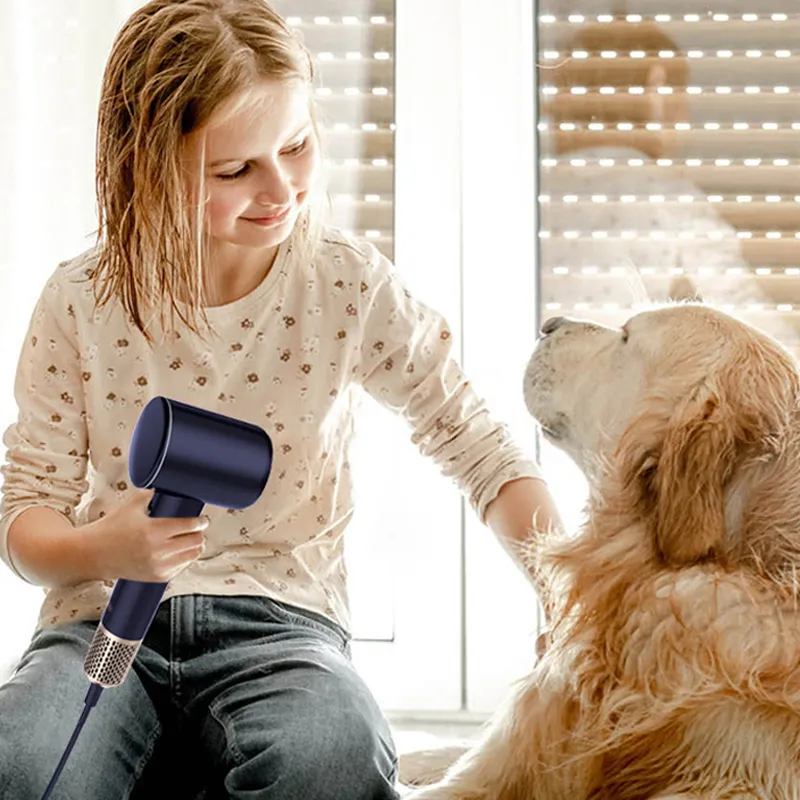 Electric Hair Dryer ...