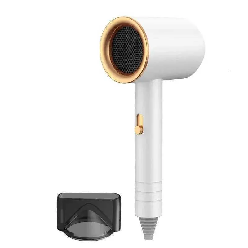Professional Ionic Hair Dryer Heat Protection Fast Drying Low Noise Portable For He Hotel Travel