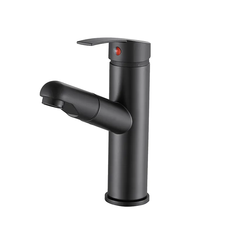 Bathroom Sink Hot/Cold Pull-Out Faucet