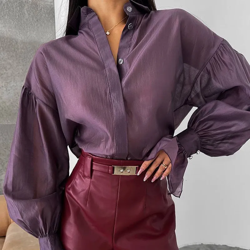 Women's Elegant Lantern Sleeve Blouse