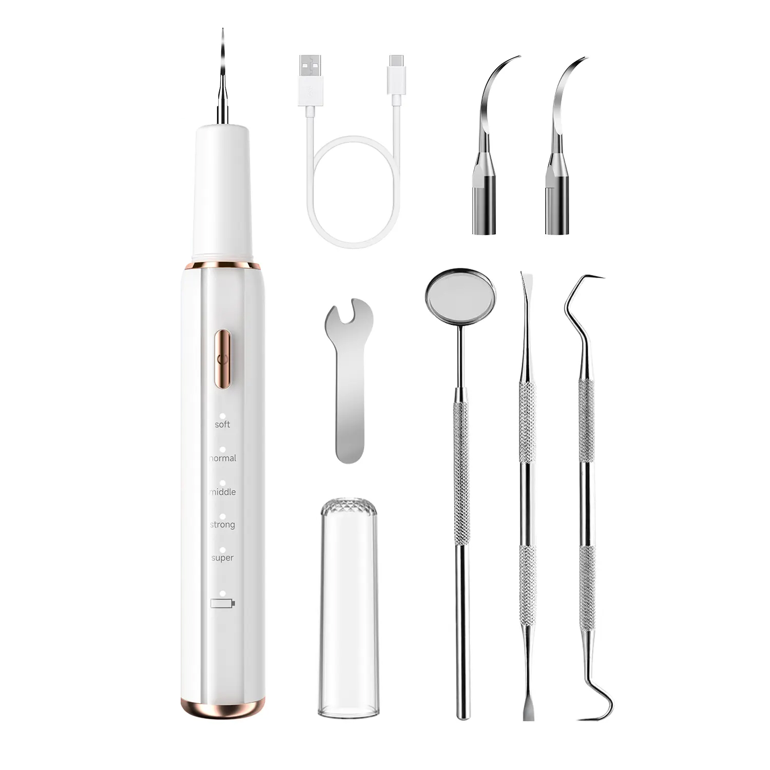 Ultrasonic Electric Dental Scaler Waterproof Elect...