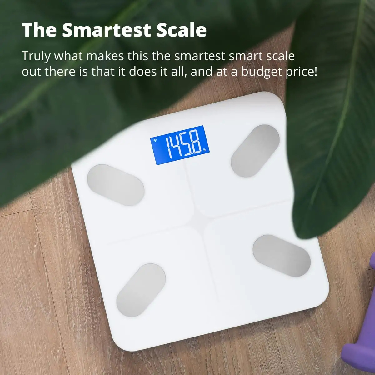 Smart Bathroom Scale With Body Fat Percentage Measurement