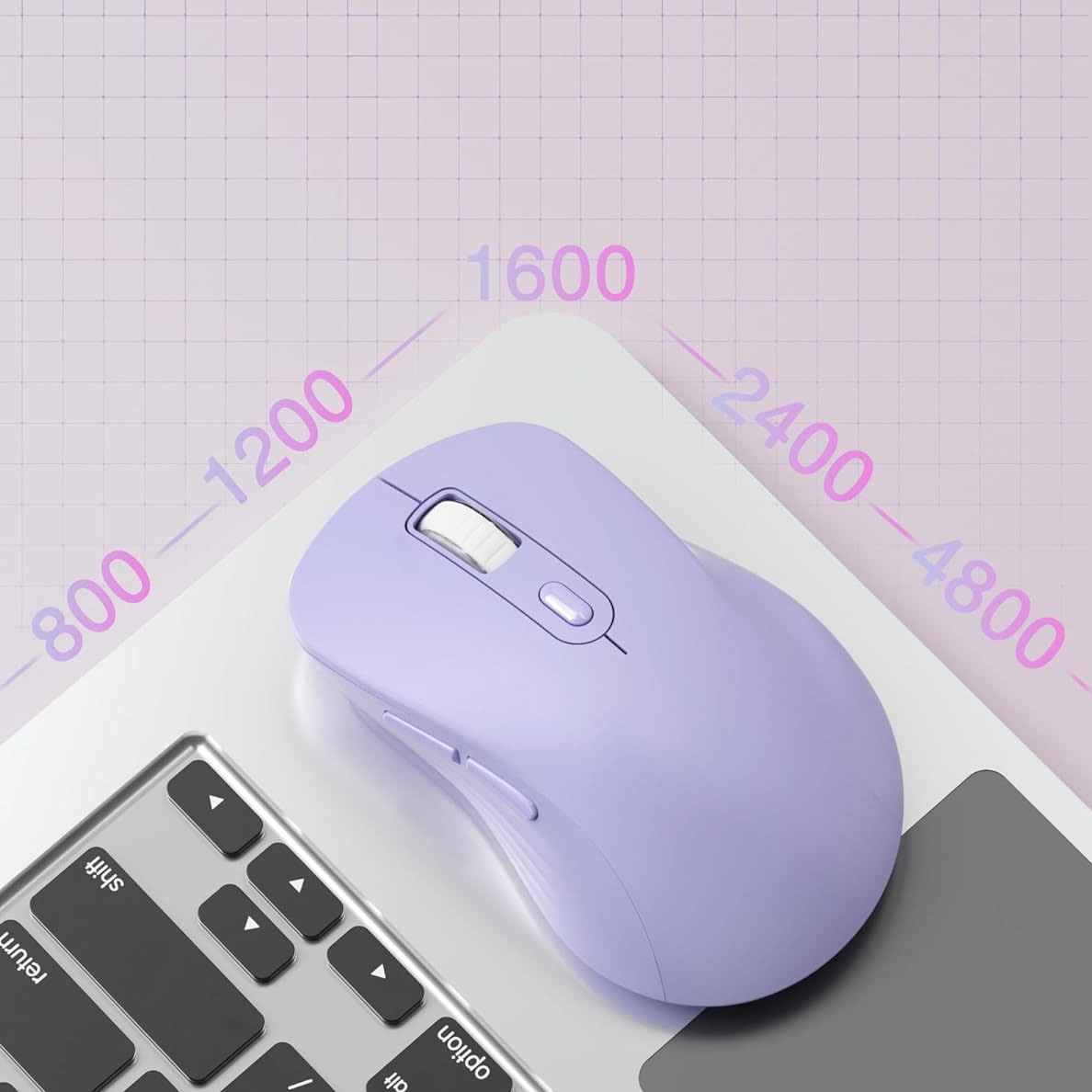 Lavender 